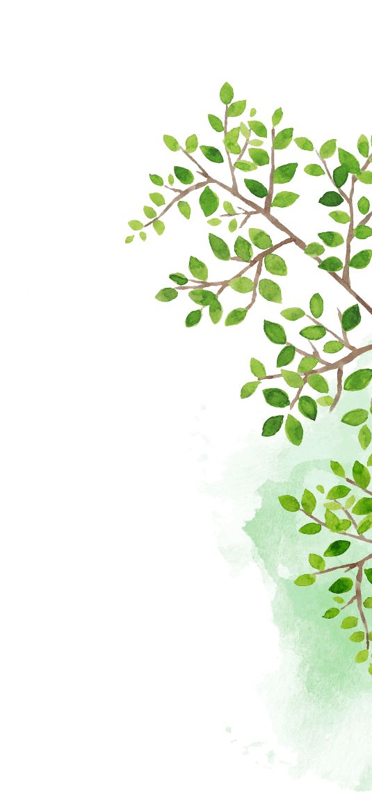 木